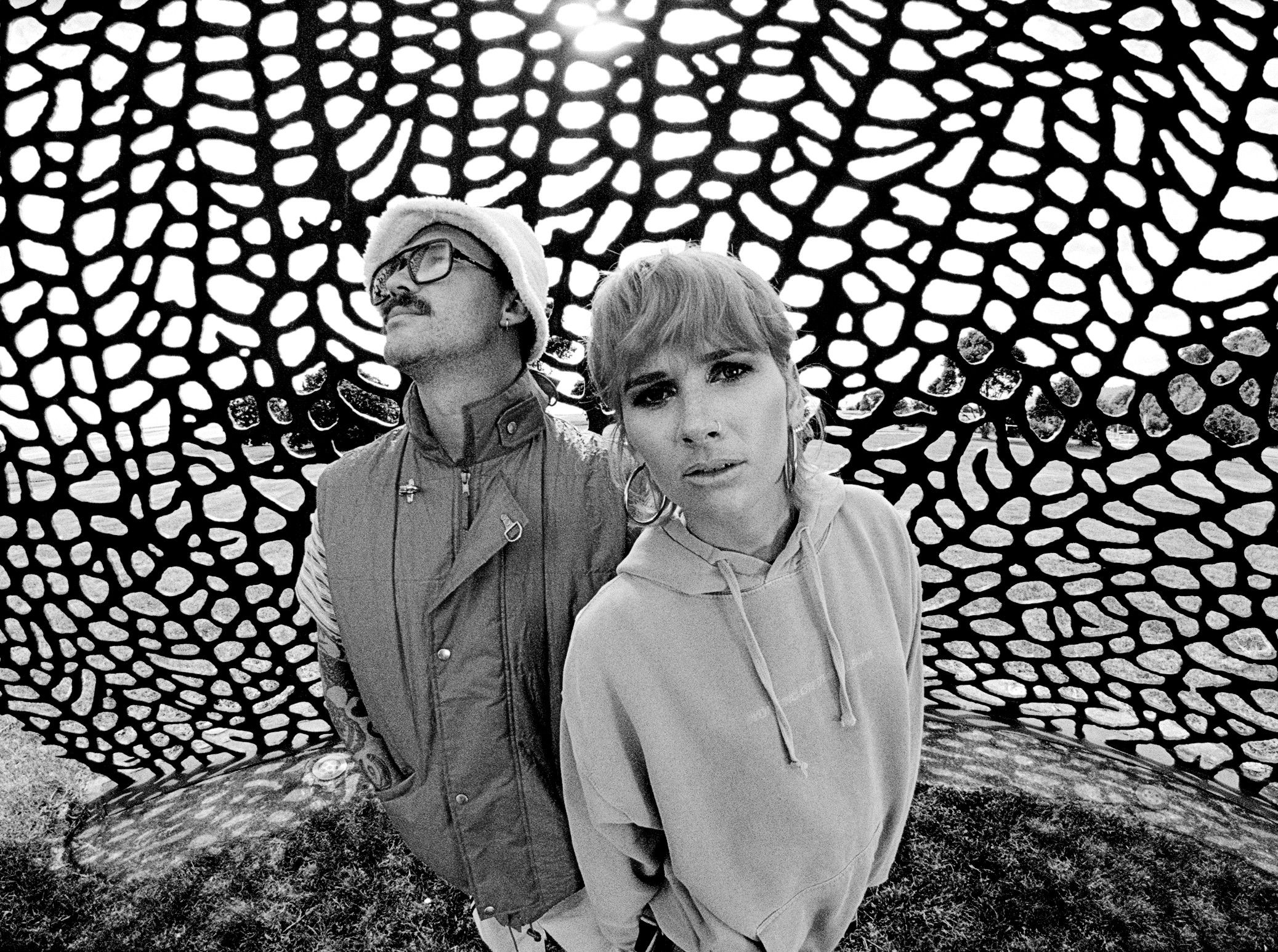 BROODS